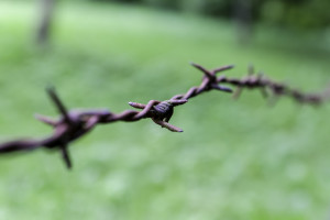 Low-DOF-1